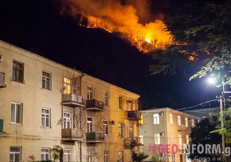 Власти Грузии предложили "правительству" Абхазии помощь в тушении пожаров