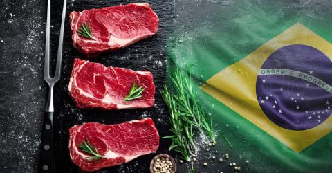 საქართველო ბრაზილიური ხორცის იმპორტს ზრდის
